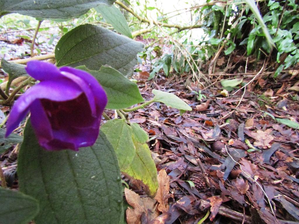Greenstone Retreat Kumara Ngoại thất bức ảnh